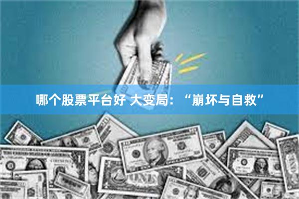 哪个股票平台好 大变局：“崩坏与自救”