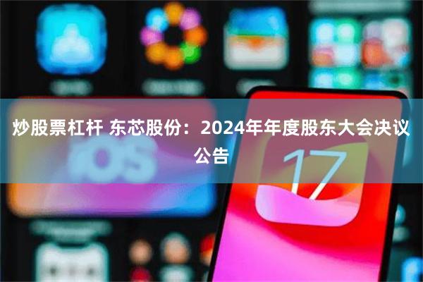 炒股票杠杆 东芯股份：2024年年度股东大会决议公告