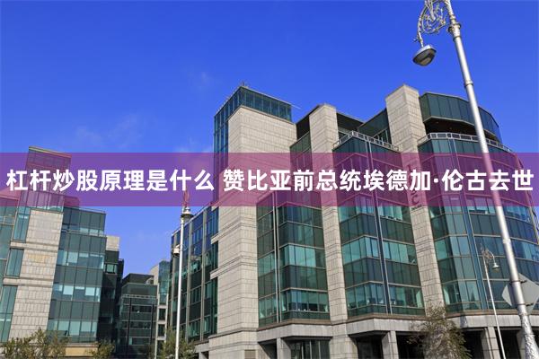 杠杆炒股原理是什么 赞比亚前总统埃德加·伦古去世