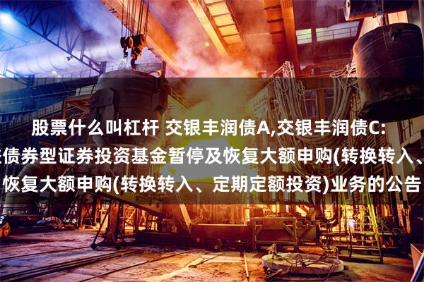 股票什么叫杠杆 交银丰润债A,交银丰润债C: 关于交银施罗德丰润收益债券型证券投资基金暂停及恢复大额申购(转换转入、定期定额投资)业务的公告