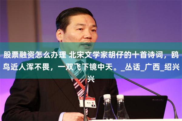 股票融资怎么办理 北宋文学家胡仔的十首诗词，鸥鸟近人浑不畏，一双飞下镜中天。_丛话_广西_绍兴