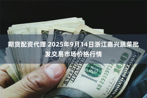 期货配资代理 2025年9月14日浙江嘉兴蔬菜批发交易市场价格行情