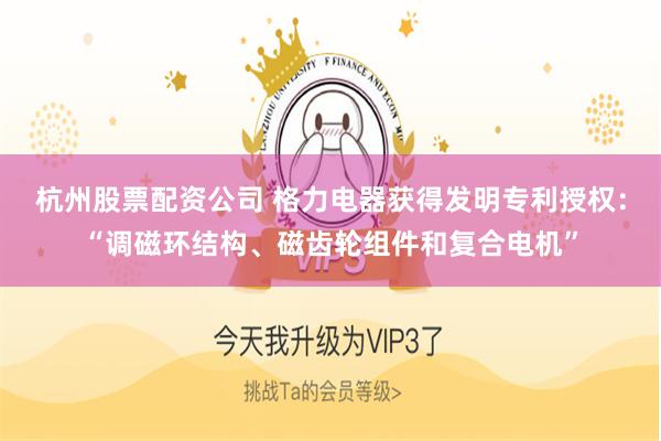 杭州股票配资公司 格力电器获得发明专利授权：“调磁环结构、磁齿轮组件和复合电机”