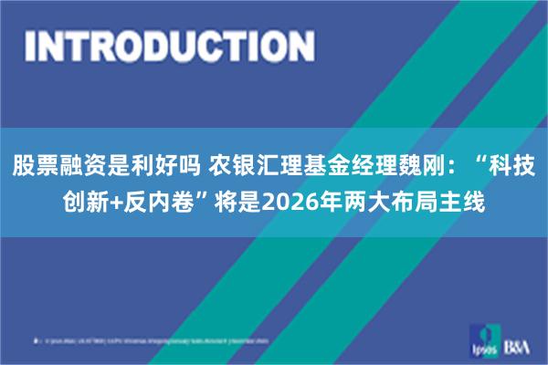 股票融资是利好吗 农银汇理基金经理魏刚：“科技创新+反内卷”将是2026年两大布局主线